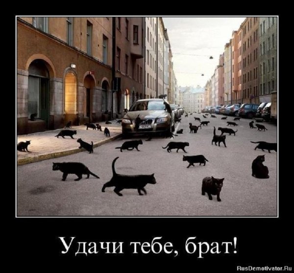 Удачи тебе...