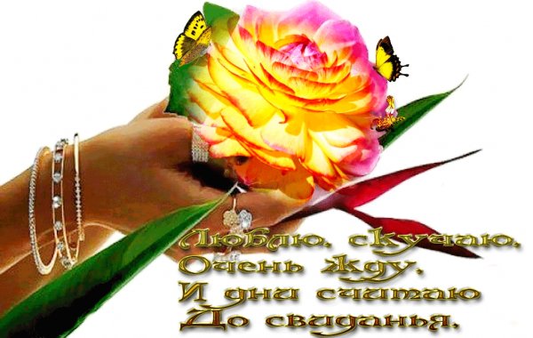 Люблю, скучаю, очень жду и дни считаю до свиданья!