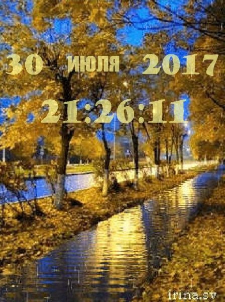 Осенний дождь