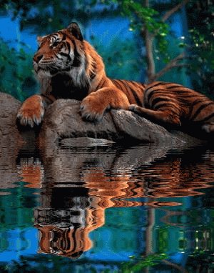 file_75253105