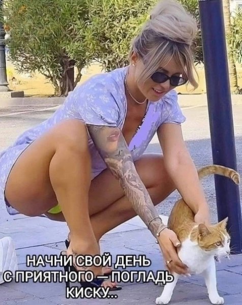 file_97965536