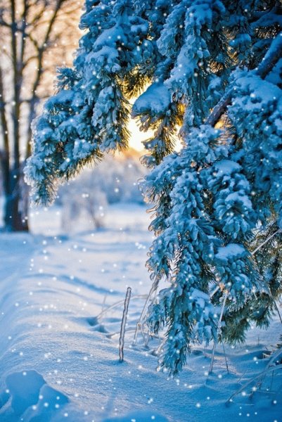 file_75895080