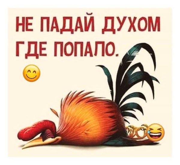 FB IMG 1773552292975