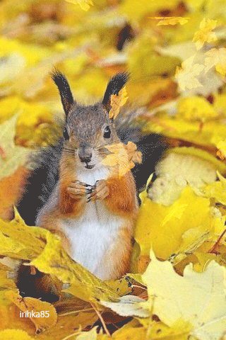 d8c7a198a5a7893ac217902ffceee740