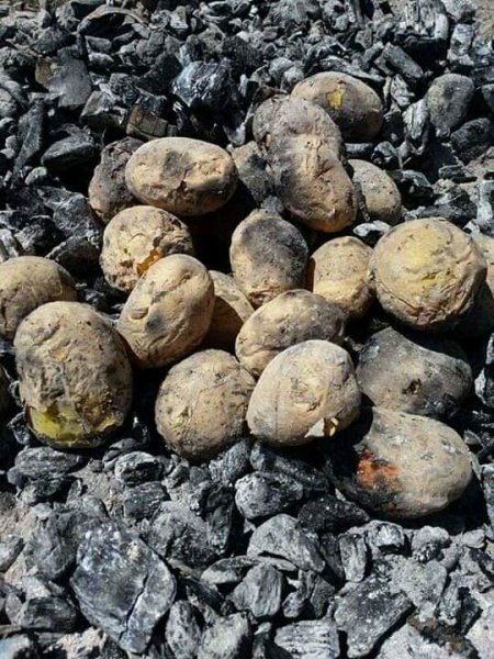 FB IMG 15906627726177929