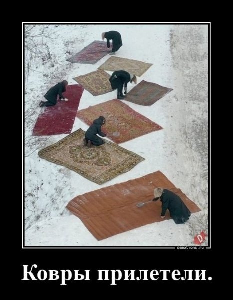 Ковры прилетели
