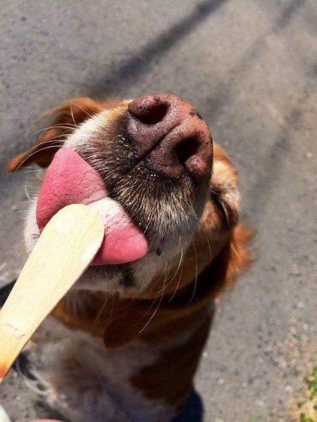 FB IMG 1773684698066