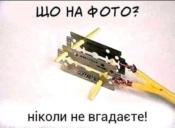 FB IMG 16164429813335278