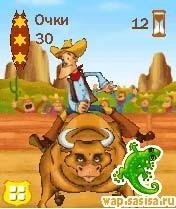 Rodeo Stars