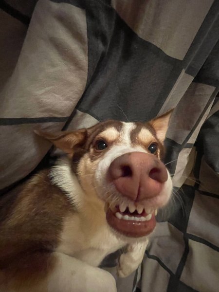 KKJJBHBGGGCFCDXS7HZ