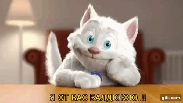 d6c985d67e58632732d1741ed8729470