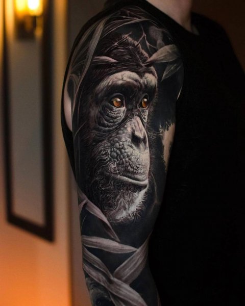 IMG 20250211 184552 969