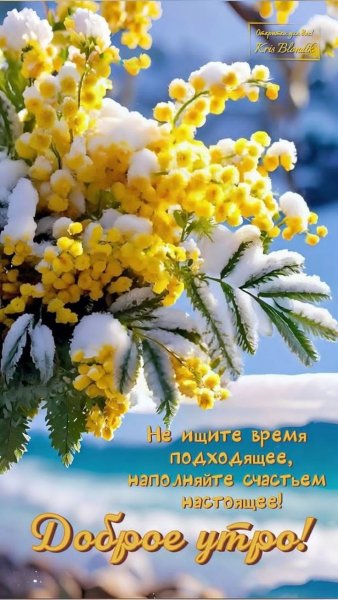 a0059fc53d9ea852e4844569d180a