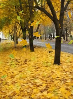 15 октября,осень (here again)