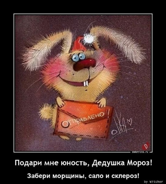 Подари мне юность, Дедушка Мороз!