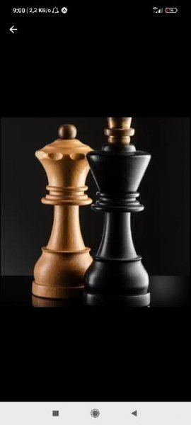 Шахматы 2.6.1