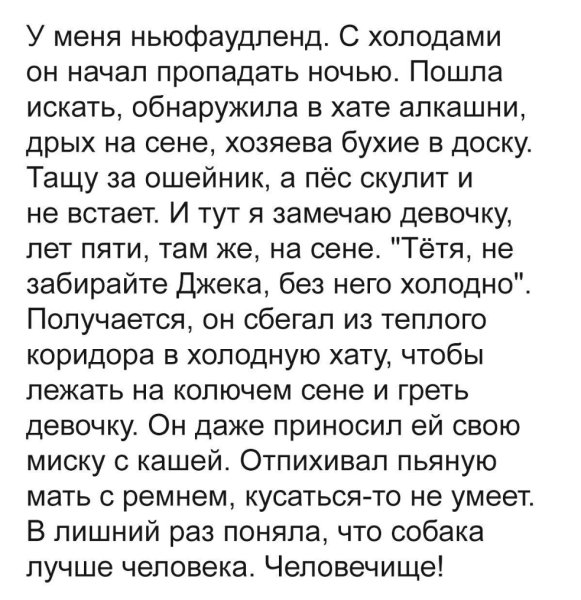 UID248057 1562394950 38