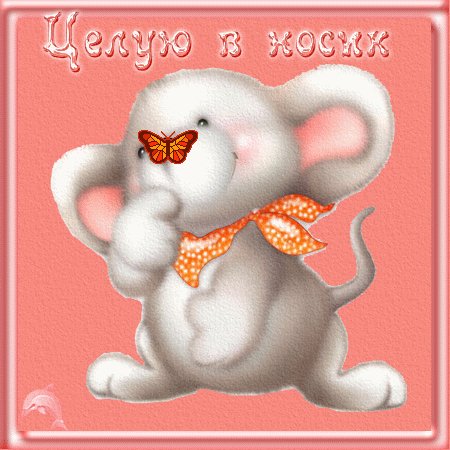 Целую в носик