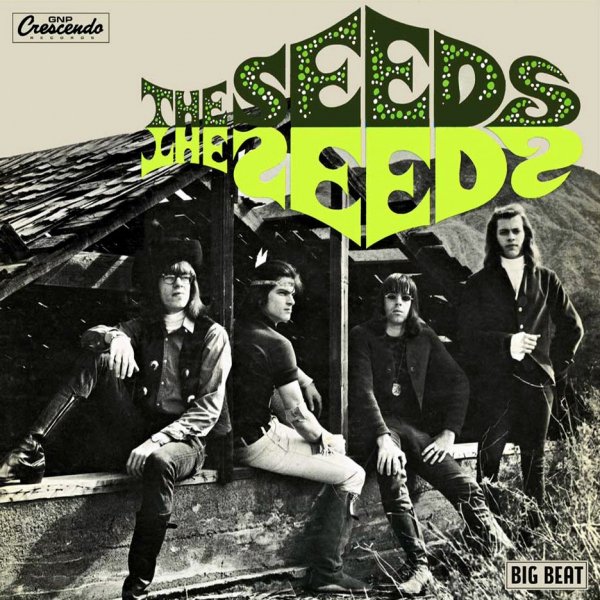 The Seeds - Cant Seem To Make You Mine