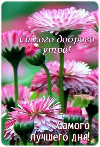 Открытка самого доброго утра самого