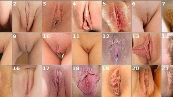 ZhNjQzEBi4U 2pihrgO86-cocTsQWLEWr007baPmmn8Q