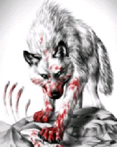 wolf176