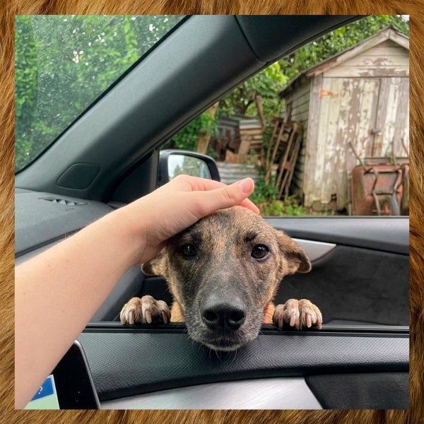 NTDJJHONHTCGDVHFBMGU