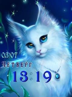 Кися звёздная Флэш2.0