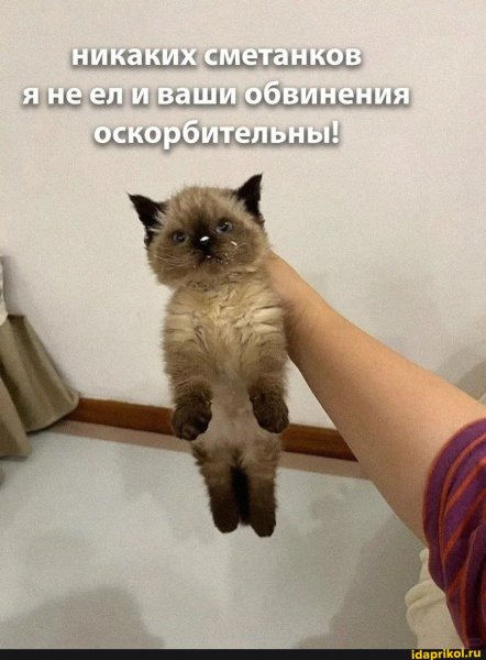 2a0de3101be857ef8efd00496315b62eef15868f4223 1