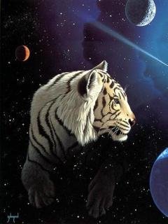 Космический тигр
