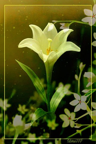 file_52934206