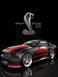 Ford mustang shelby gt 500 car