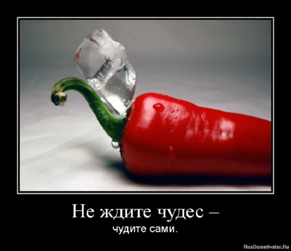 Не ждите чудес, чудите сами