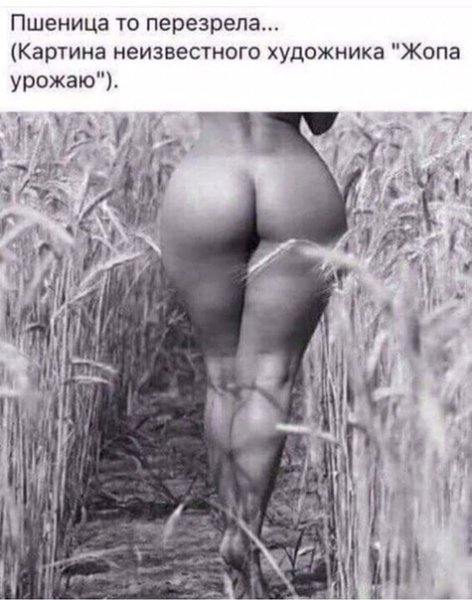 Крепкий орешек)))))