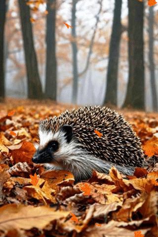 file_100826104