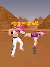 thefight3d 240x320 nokiabygamezclub