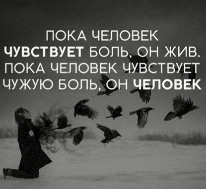 file_101314318