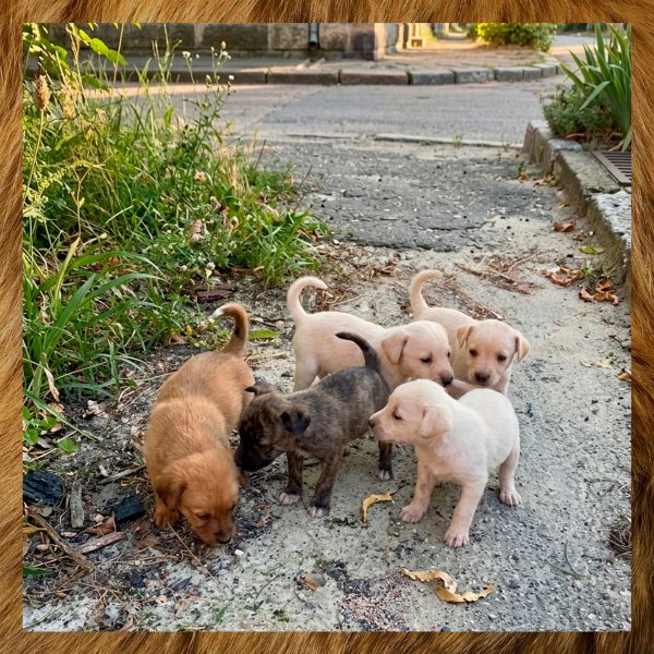 0EDTGTHUJKNBGVDXDF90