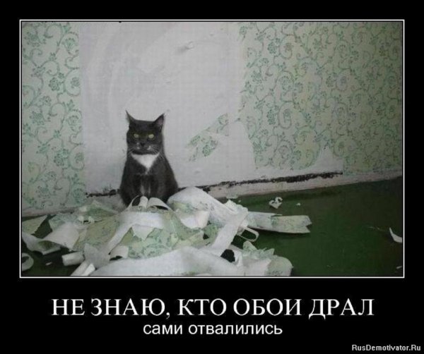 Сами отвалились