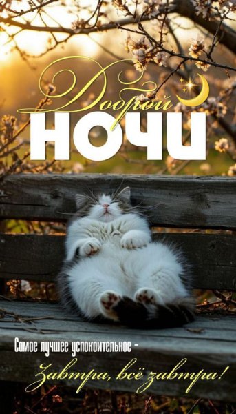 IMG 20250704 164144 743