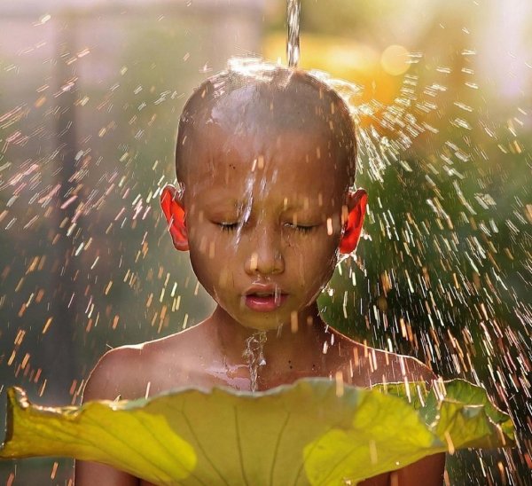 01. Осознанность