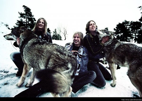 Wolf - Wolf