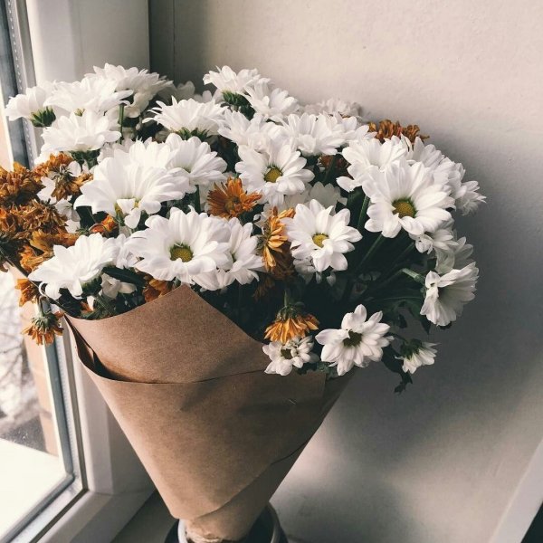 Хризантемы