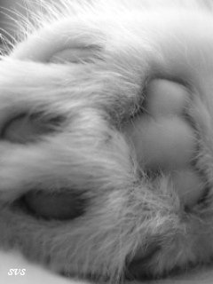 file_9419244