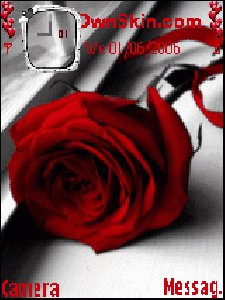 theme15911 1