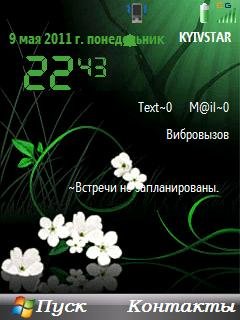 Night Flower