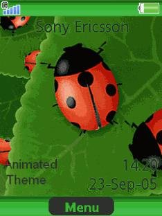 LadyBirds-Blondie