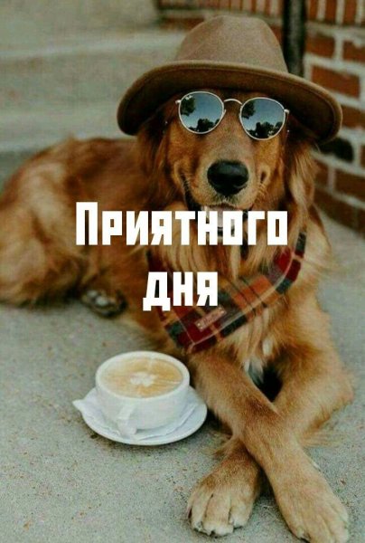 IMG-6d8d80a55bba971067093d40f2315154-V