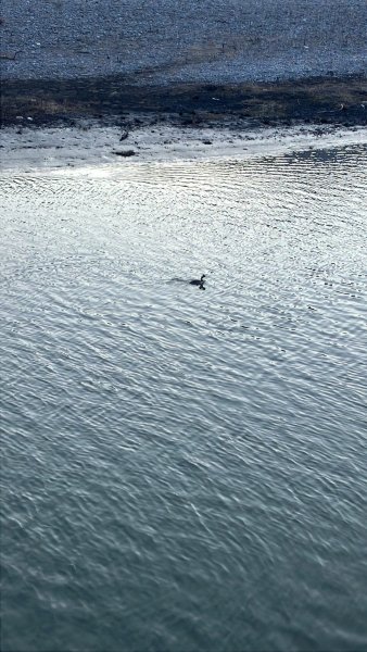 Кит ЛаумерВакансия