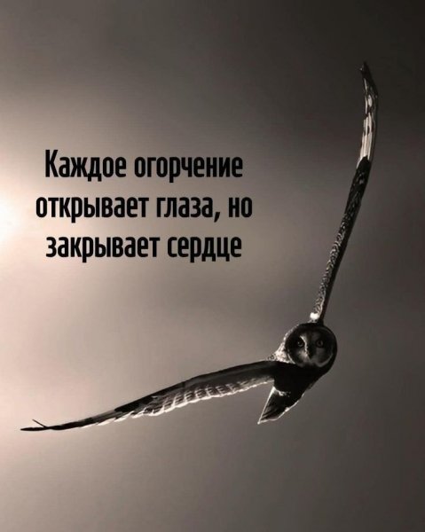 Cd6b5ca443f9b6f3e8dcc5d64ab65dfb